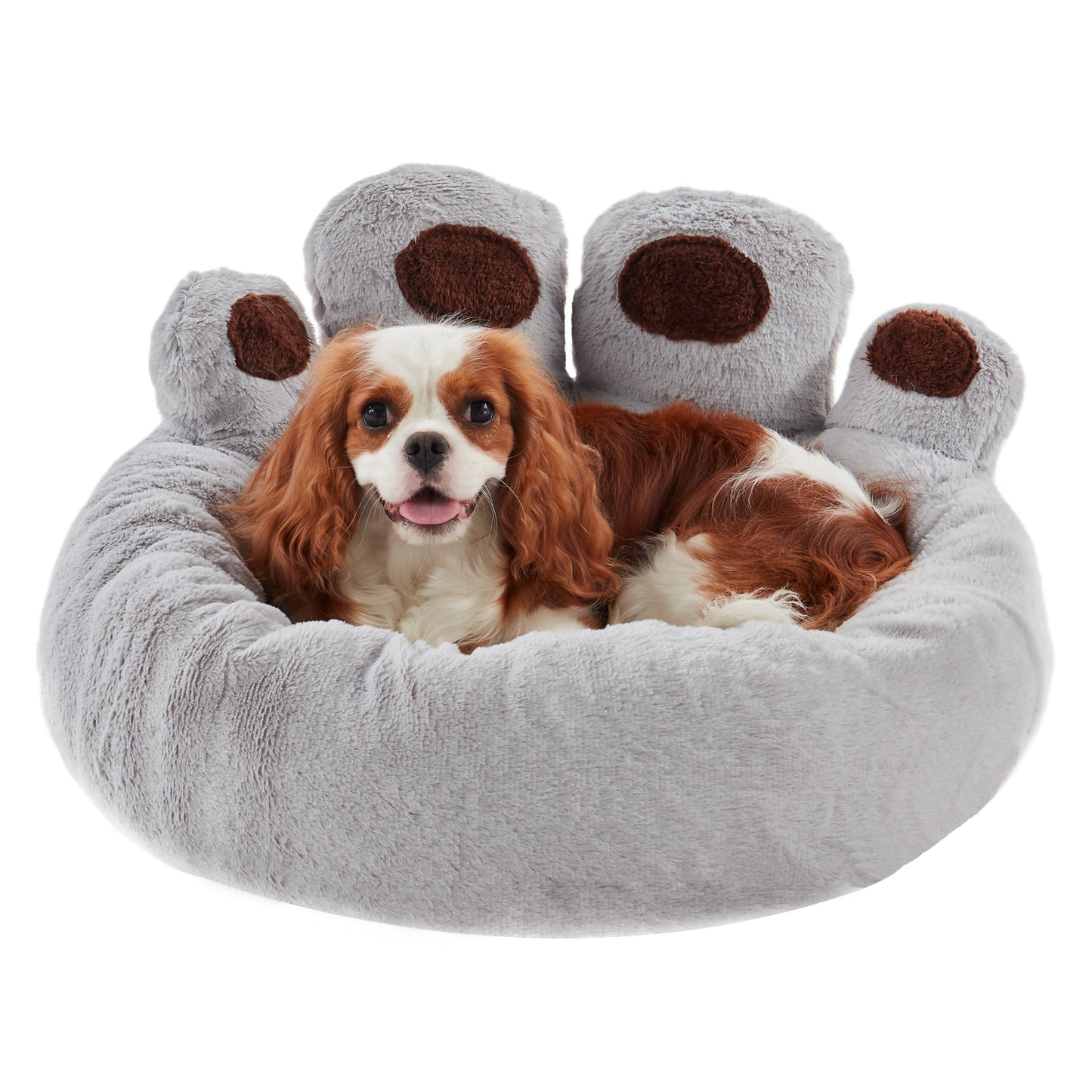 Cavalier King Charles Spaniel resting in Inspaws light grey velvet calming paw dog bed flat view on white background