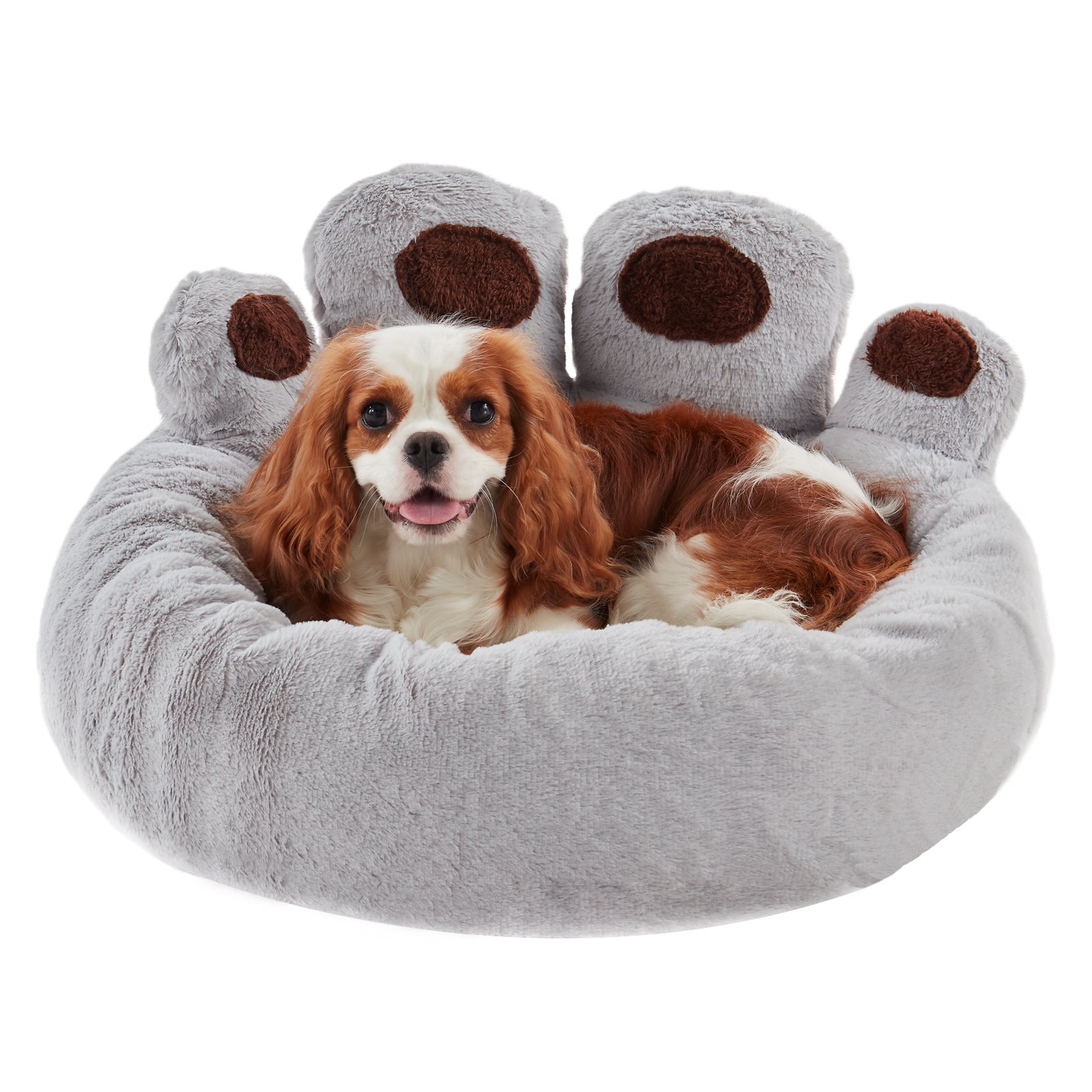 Cavalier King Charles Spaniel resting in Inspaws light grey velvet calming paw dog bed flat view on white background