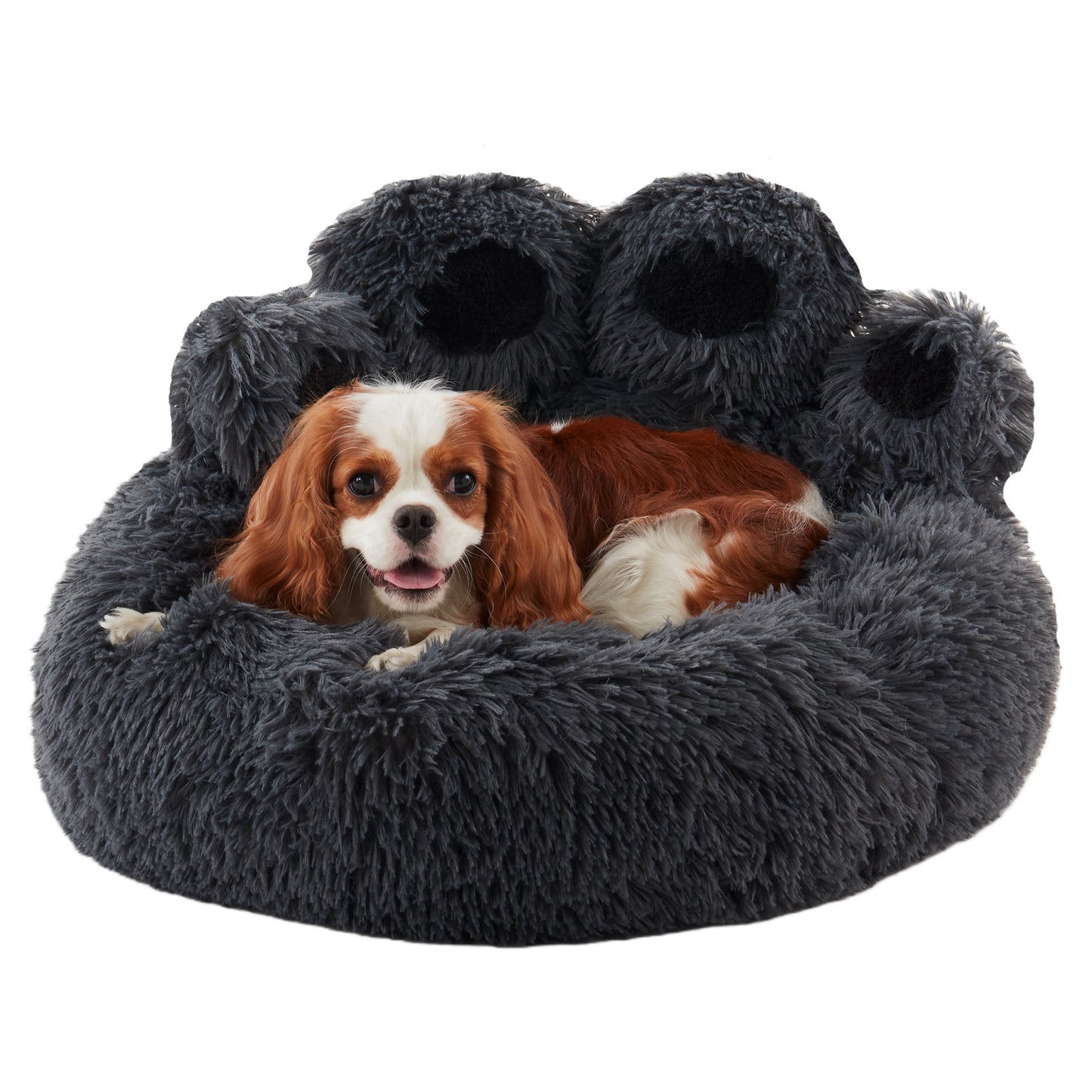 Small charles spaniel dog resting in Inspaws calming plush paw dog bed in dark grey plush faux fur white background