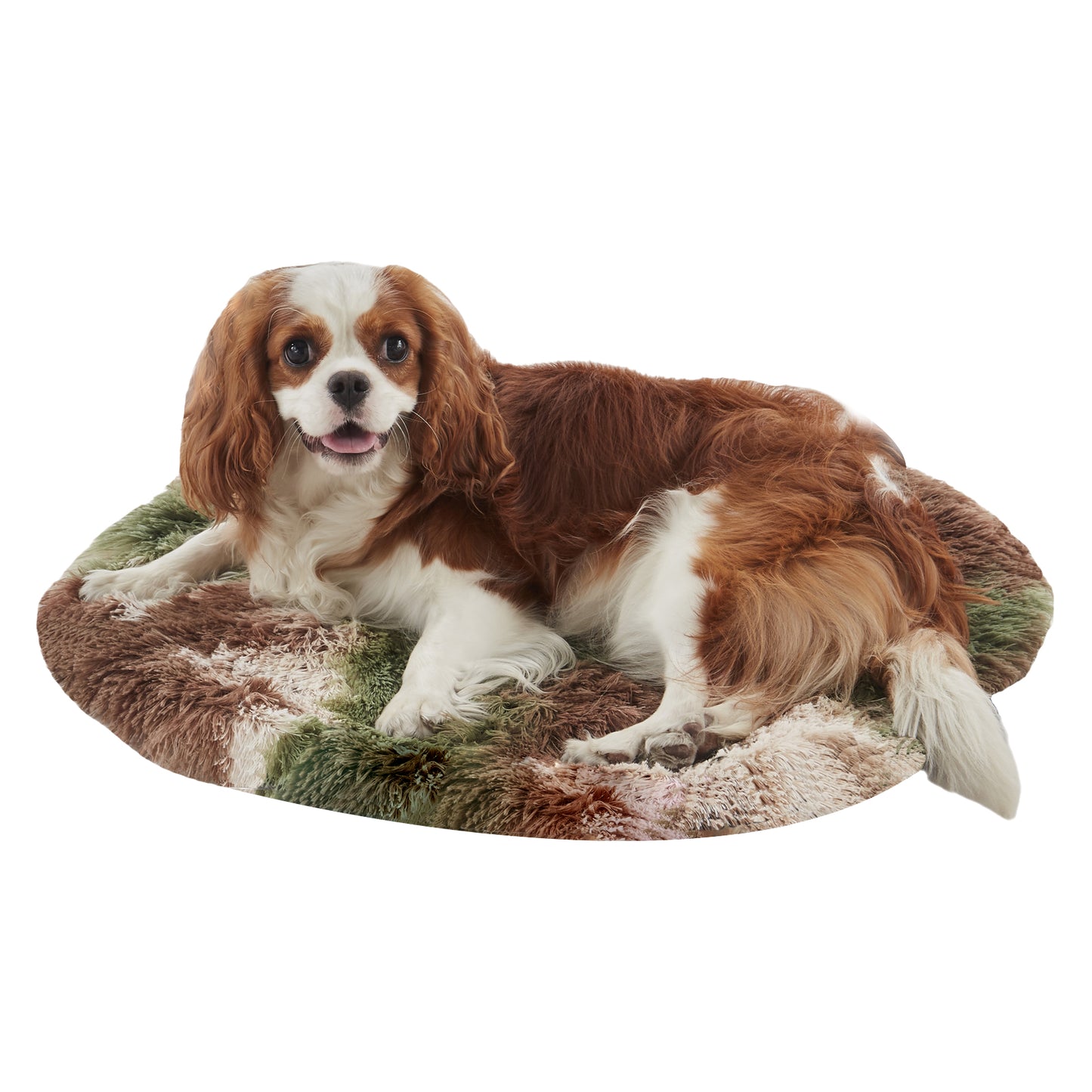 Charles Spaniel resting on Inspaws green camo calming plush round pet mat flat view on white background non-slip portable