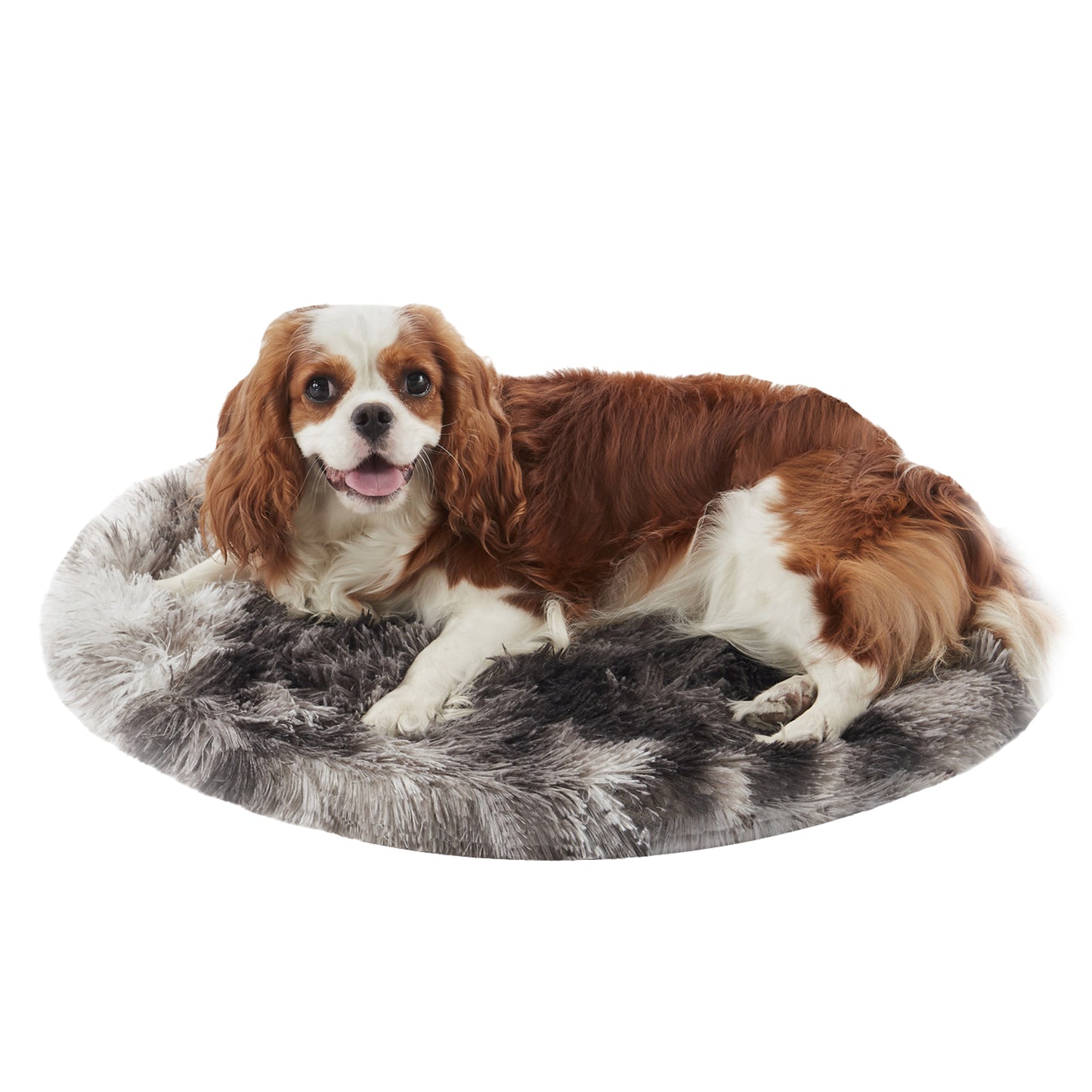 Charles Spaniel resting on Inspaws ink tie-dye calming plush round pet mat flat view on white background non-slip portable