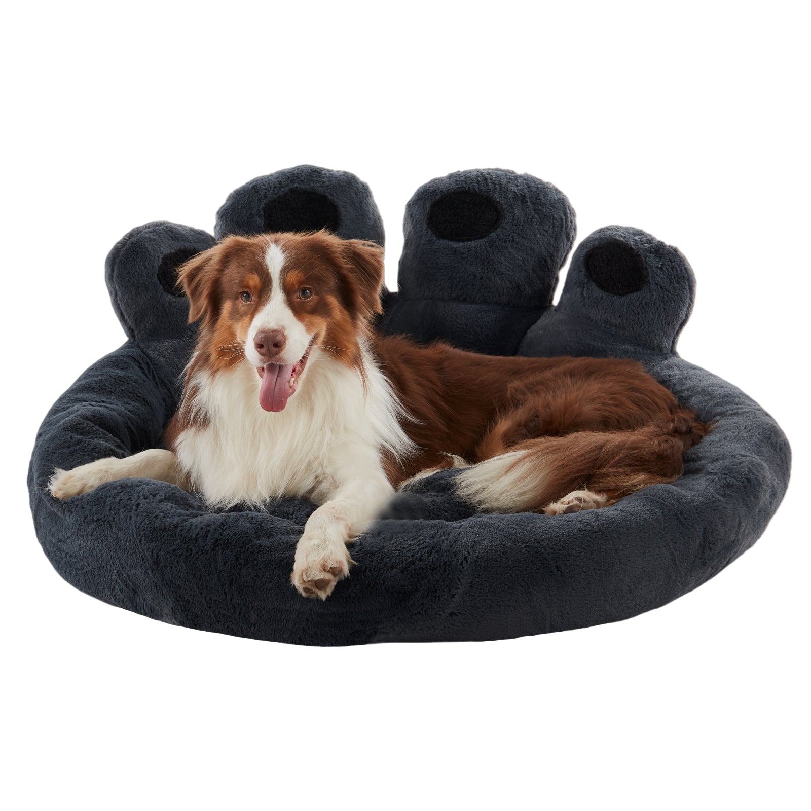 Border Collie resting in Inspaws dark grey velvet calming paw dog bed flat view on white background