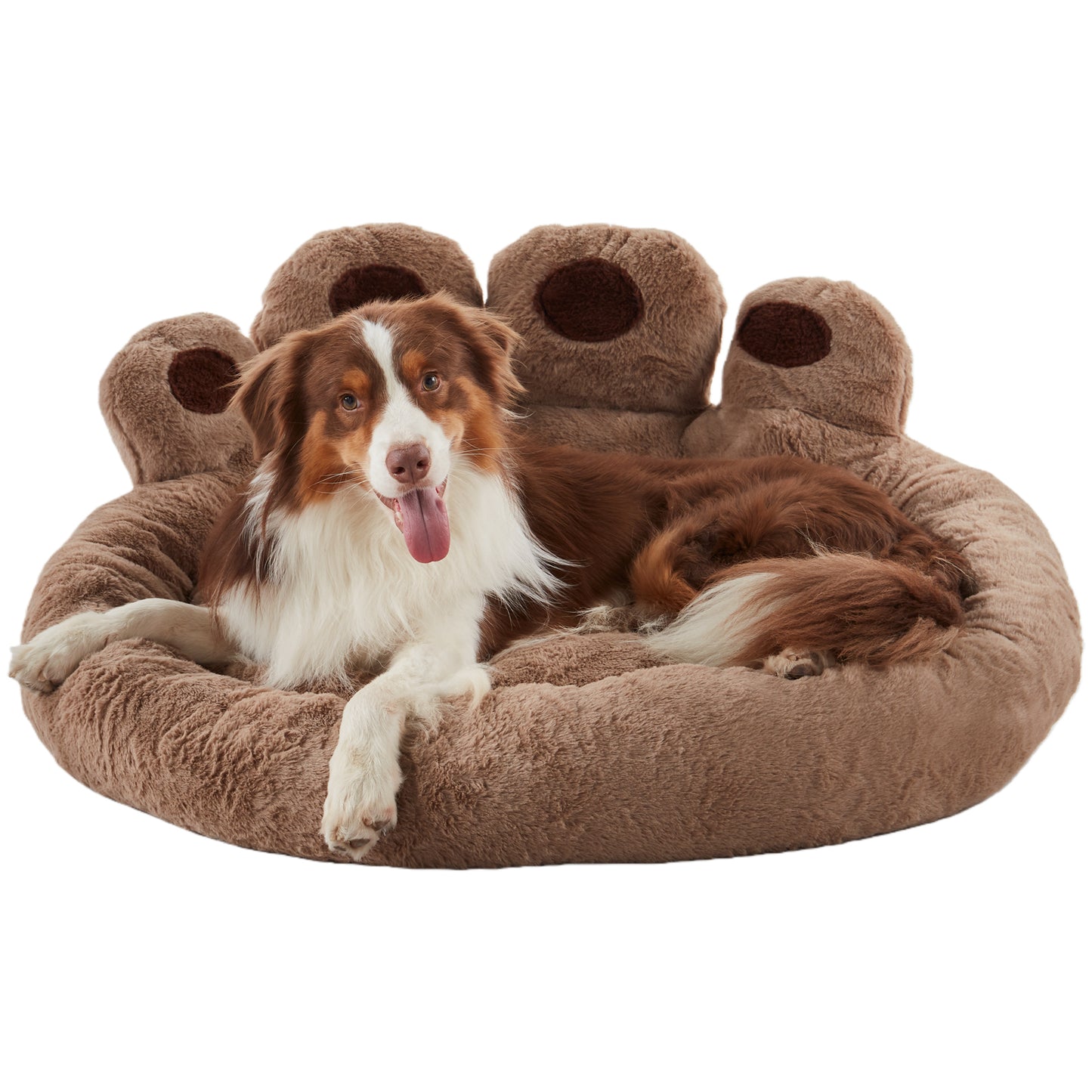 Border Collie resting in Inspaws brown velvet calming paw dog bed flat view on white background