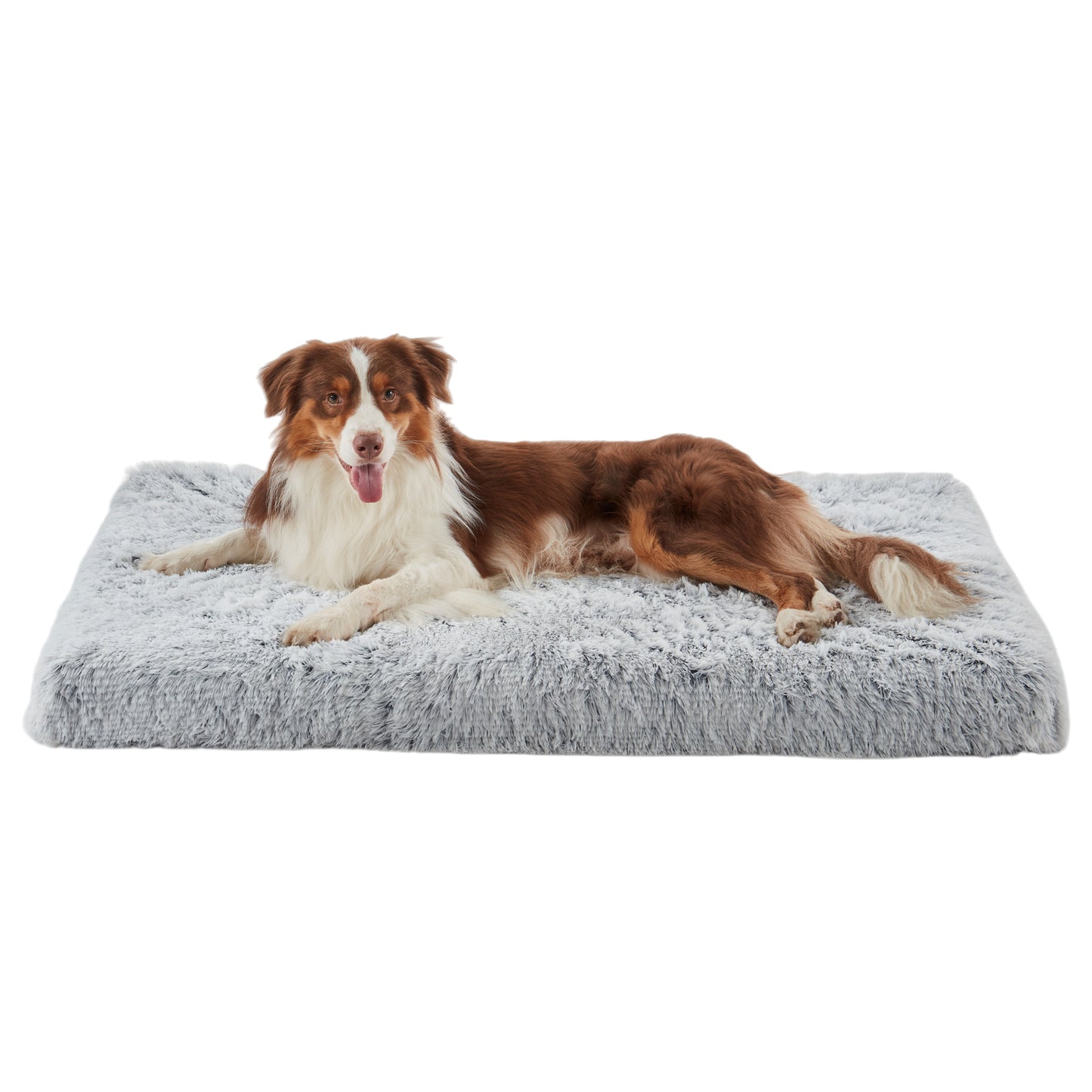 Large dog lying on Inspaws orthopedic dog bed pillow in light grey plush faux fur white background