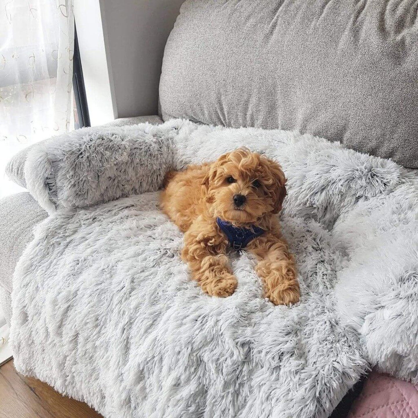 Small dog lounging on Inspaws fluffy couch cover sofa bed gradient grey