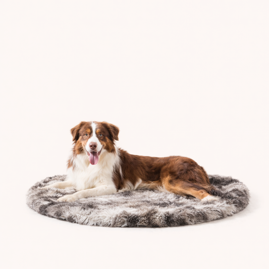 Border Collie resting on Inspaws ink tie-dye faux fur calming plush round pet mat on white background