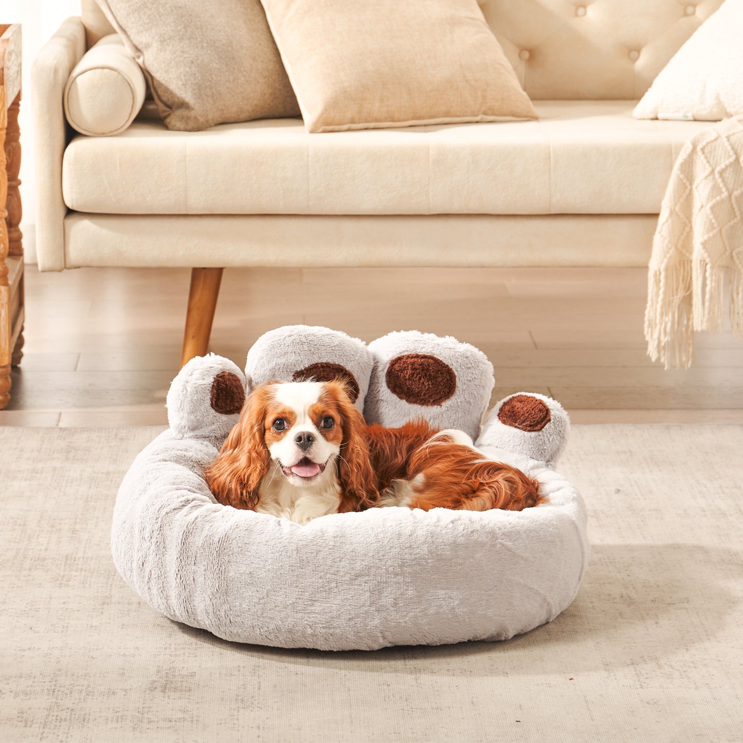 Cavalier King Charles Spaniel resting in Inspaws velvet calming paw dog bed light grey in living room