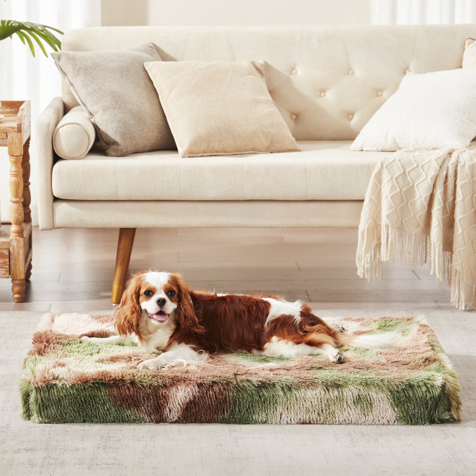 Dog lounging on Inspaws orthopedic pillow bed in green camo on floor