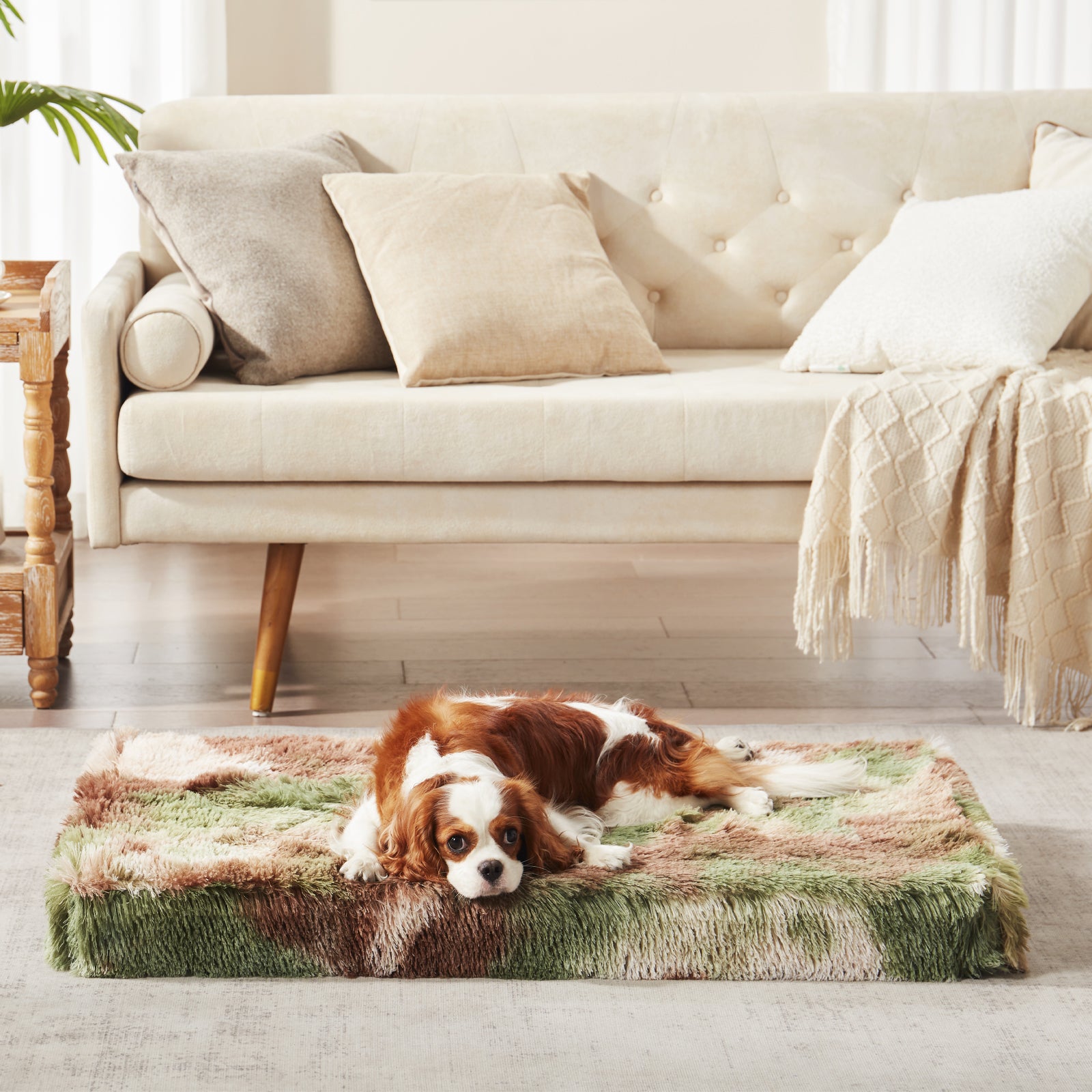 Cavalier King Charles Spaniel resting on a green camo Inspaws orthopedic pillow bed on the floor