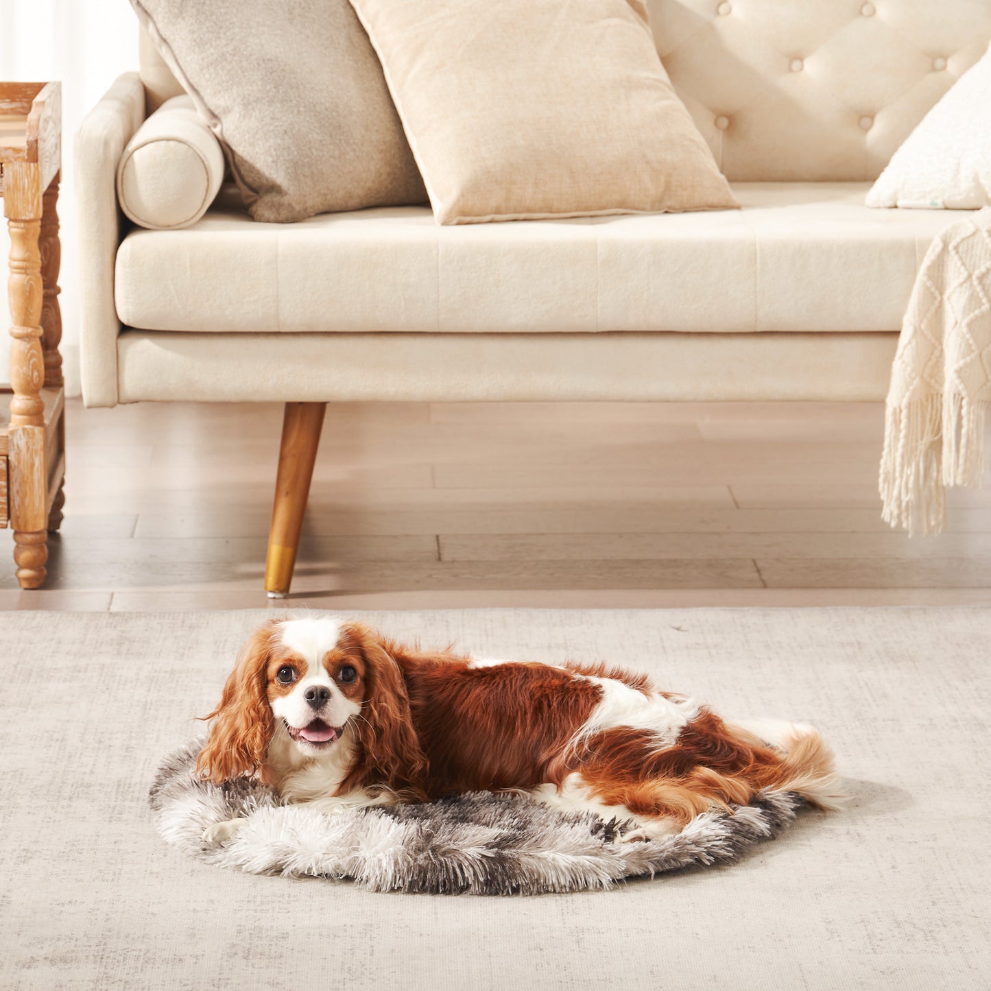 Cavalier King Charles Spaniel resting on Inspaws portable calming plush round pet mat in ink tie-dye in living room
