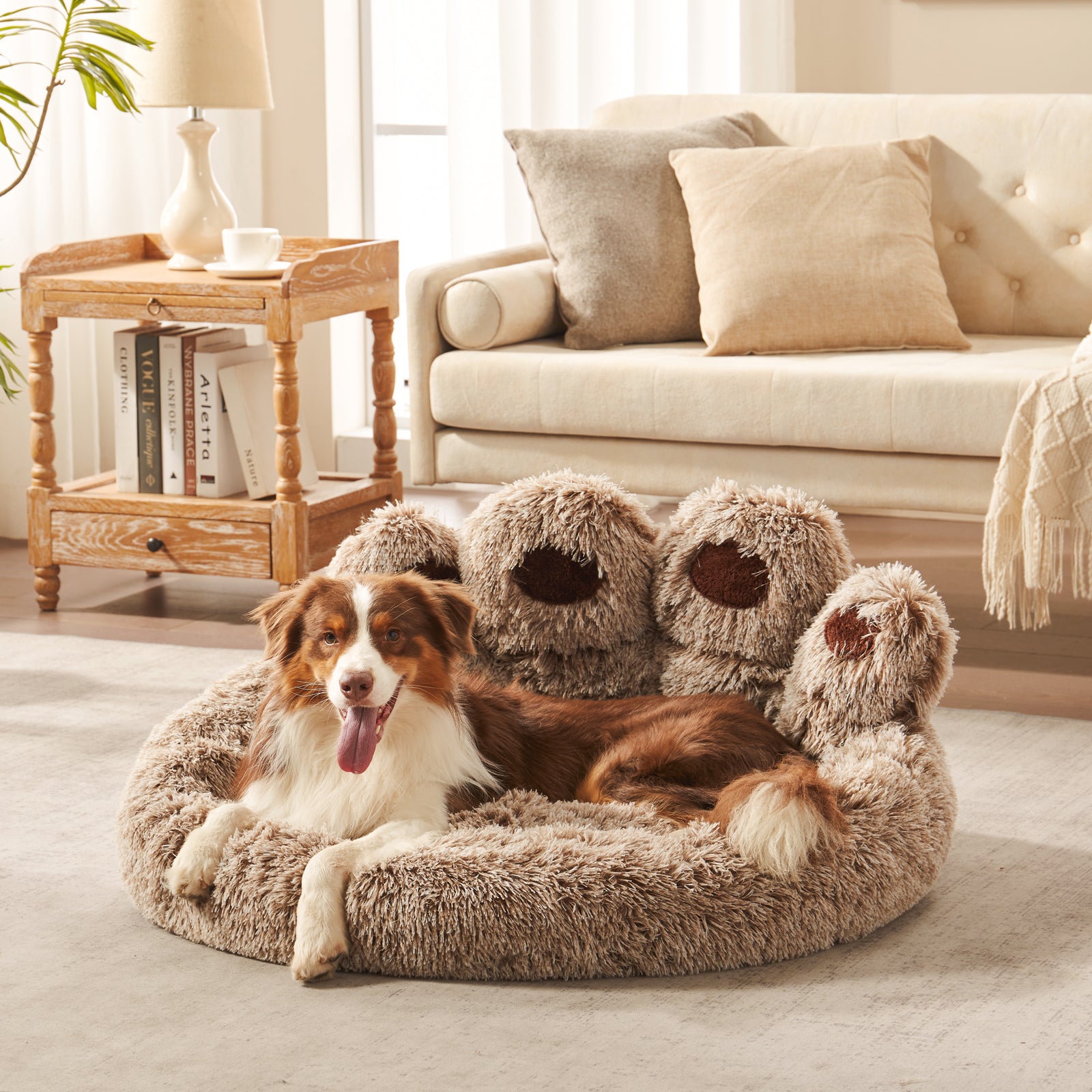 Border collie dog resting in Inspaws gradient coffee plush faux fur calming paw dog bed on living room floor