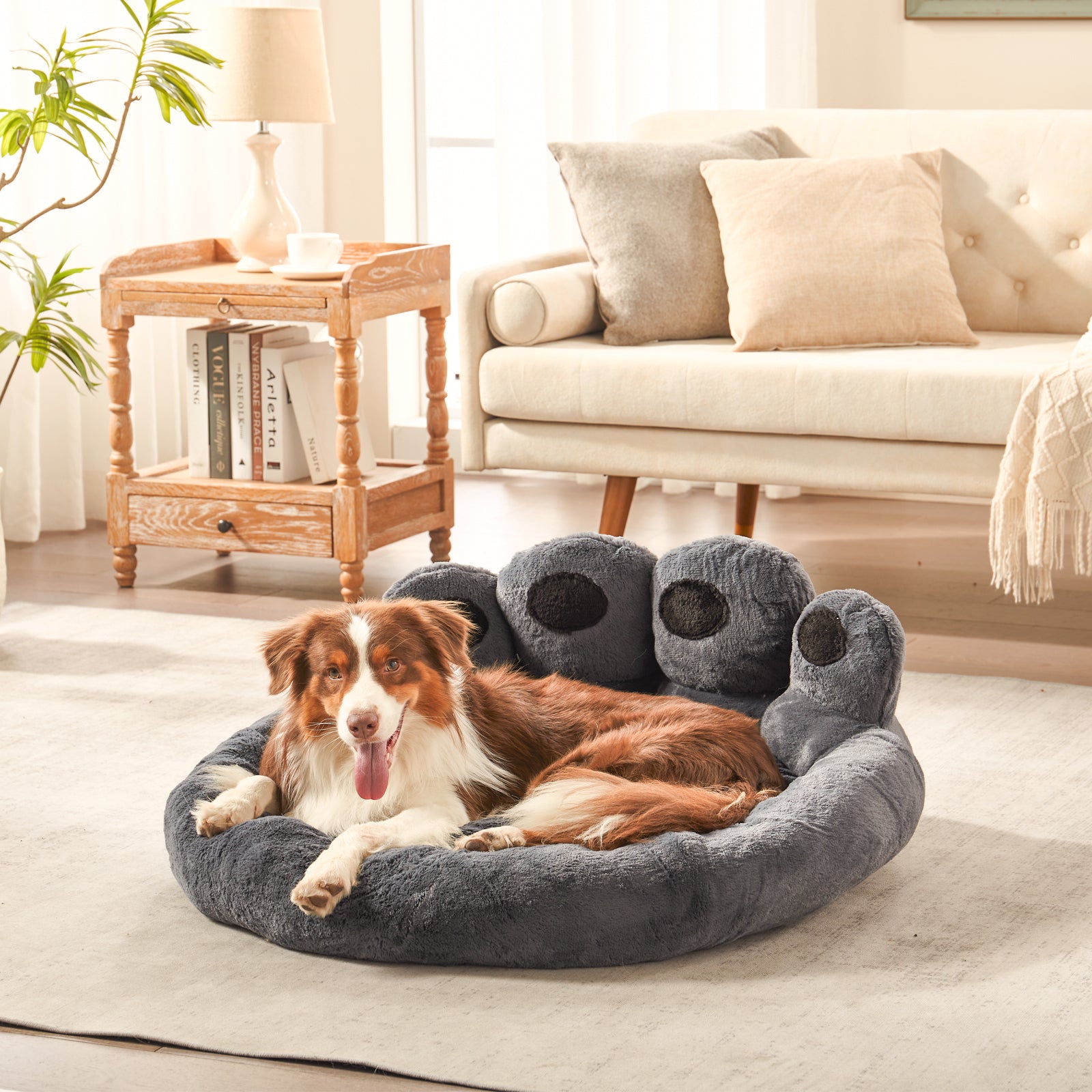 Border Collie resting in Inspaws velvet calming paw dog bed dark grey in living room floor