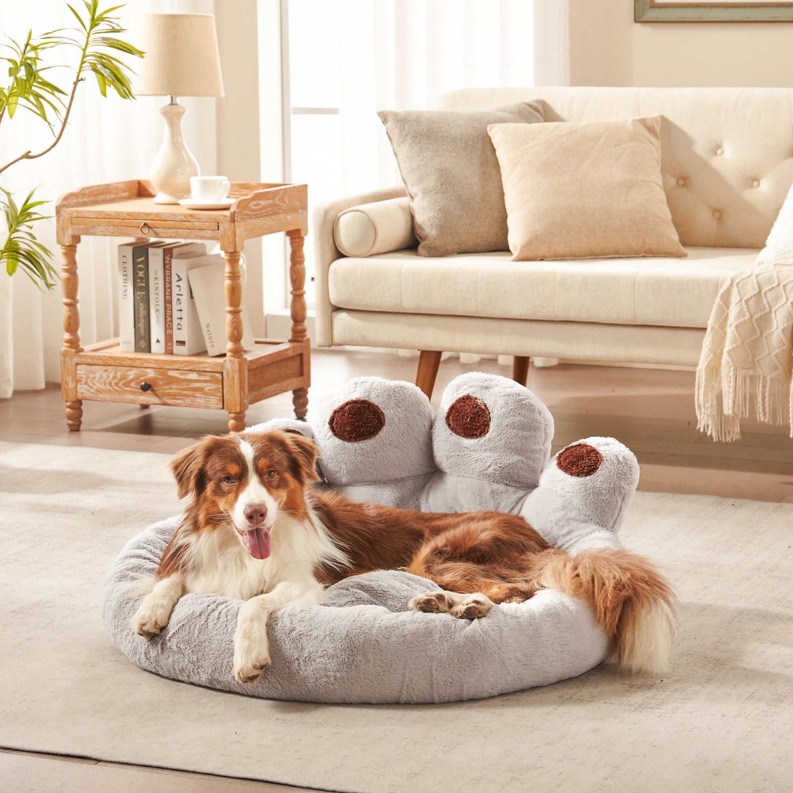 Border Collie resting in Inspaws velvet calming paw dog bed light grey in living room
