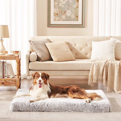 Dog lounging on Inspaws orthopedic pillow bed in light grey on floor