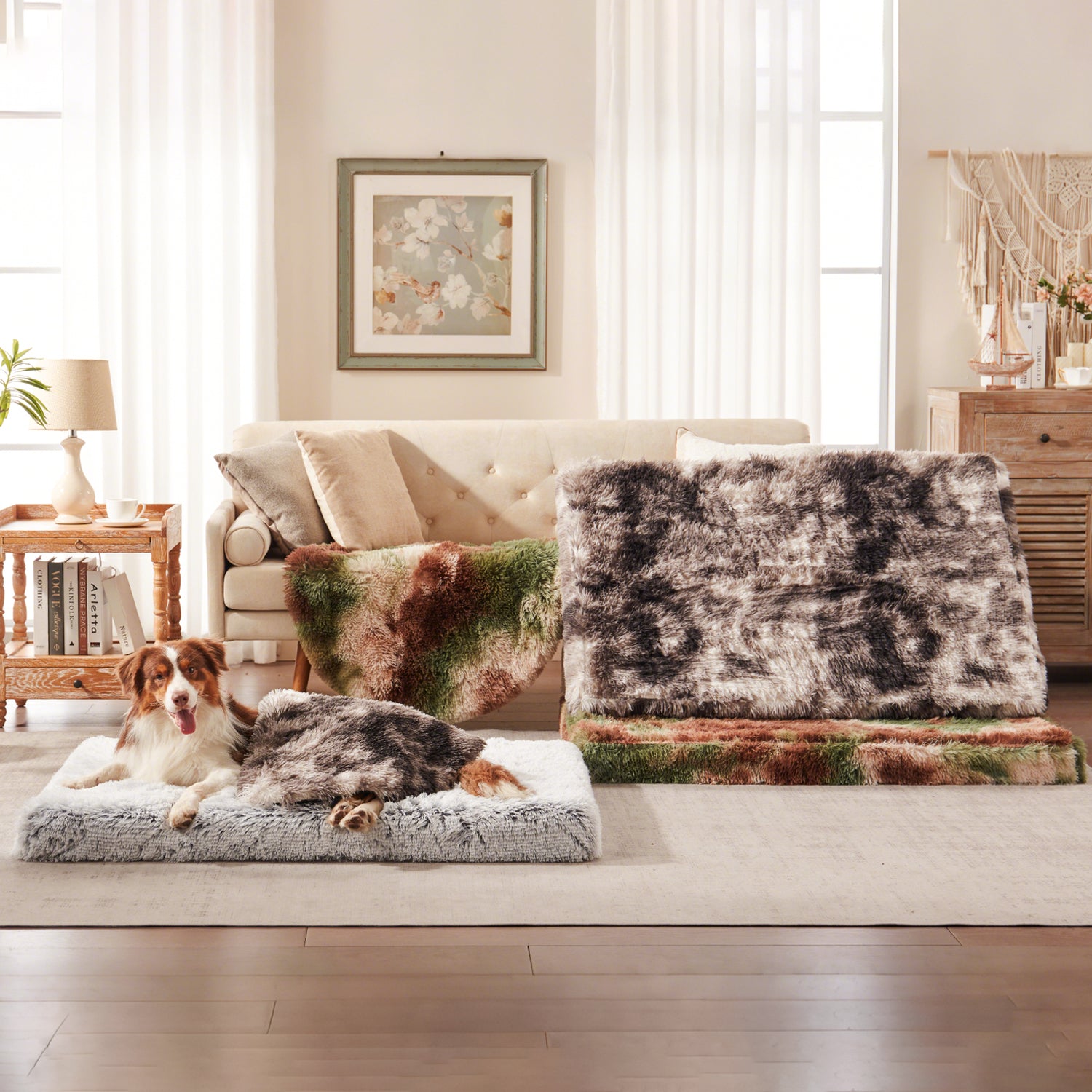 Dog resting on Inspaws orthopedic pillow bed in light grey with multiple color variants displayed in cozy living room