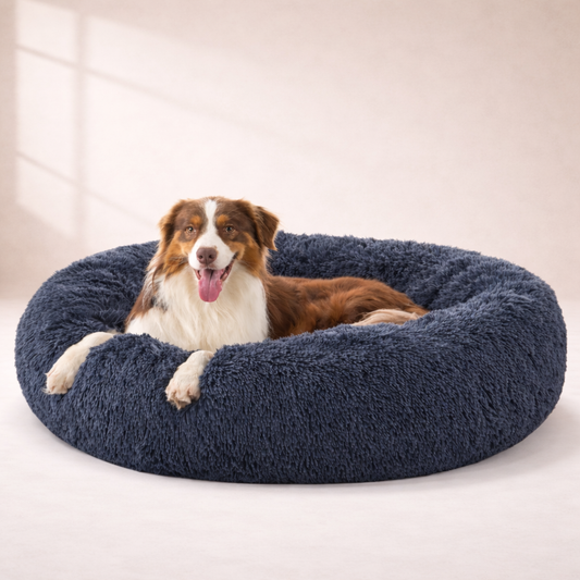 Dog resting in Inspaws calming donut dog bed in dark gray plush faux fur
