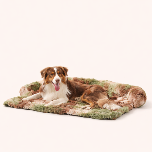 Dog resting on Inspaws green camo fluffy faux fur couch cover sofa bed