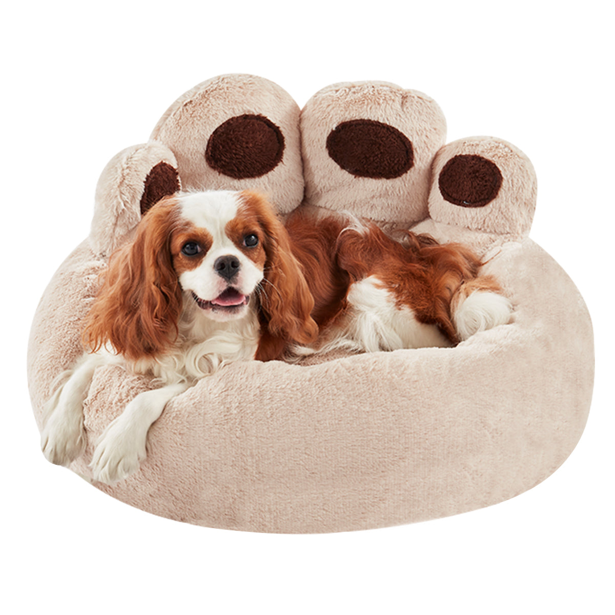 Cavalier King Charles Spaniel resting in Inspaws beige velvet calming paw dog bed flat view on white background