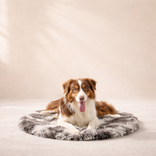 Border Collie resting on Inspaws calming plush round pet mat in ink tie-dye faux fur